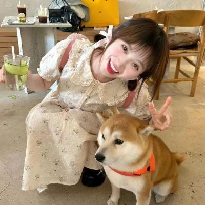 同梦缘奇之奇海报